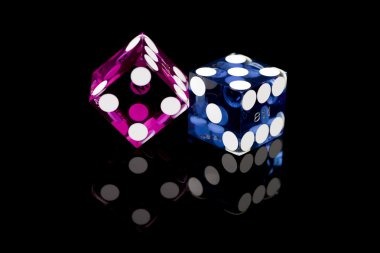 bingo 89 Game Type